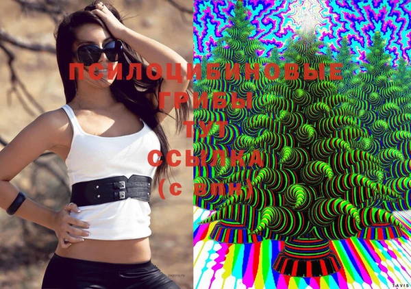 МДМА Алексин